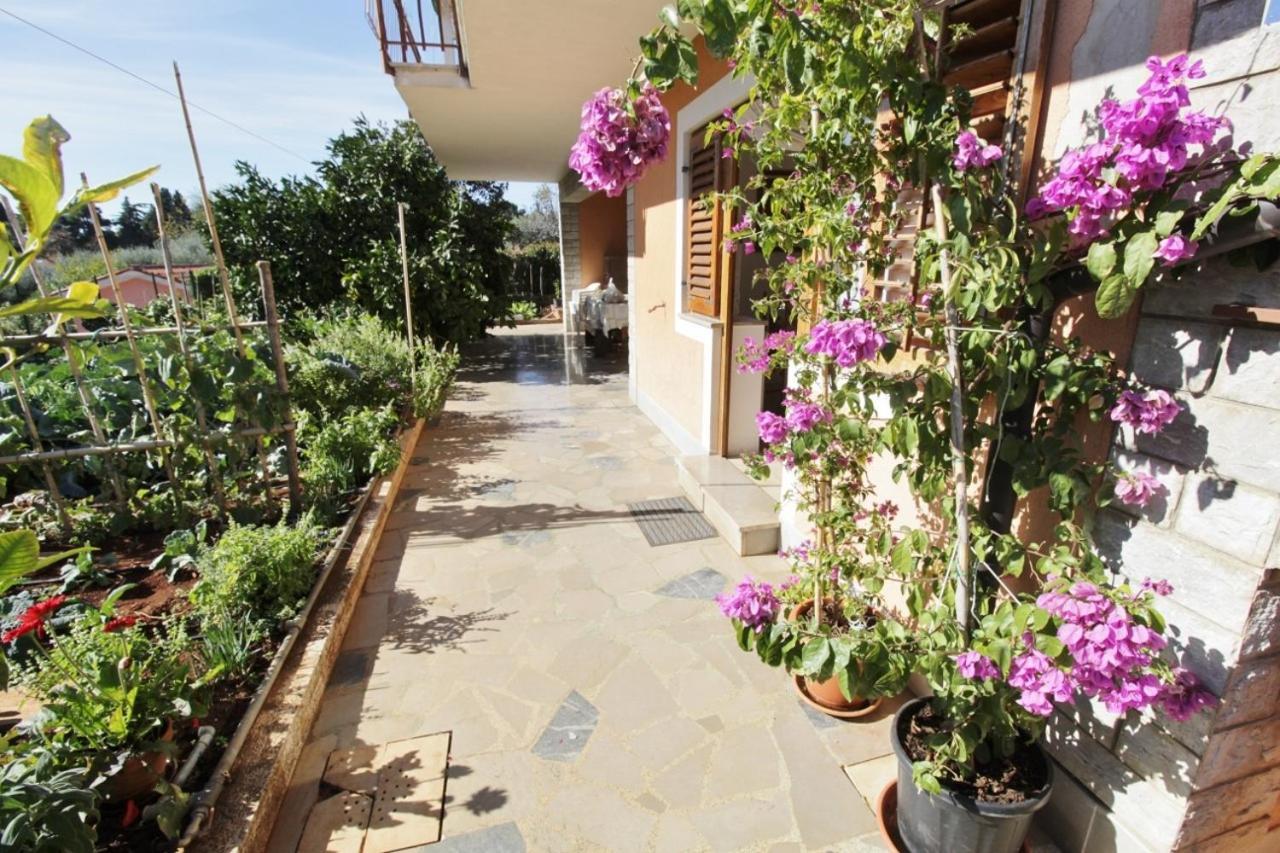 Apartments Marija Savudrija Dış mekan fotoğraf