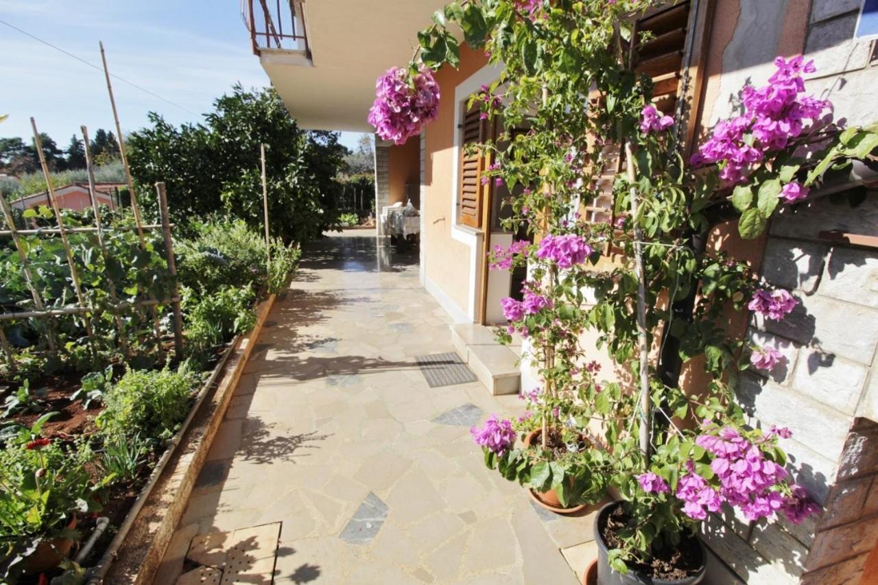 Apartments Marija Savudrija Dış mekan fotoğraf